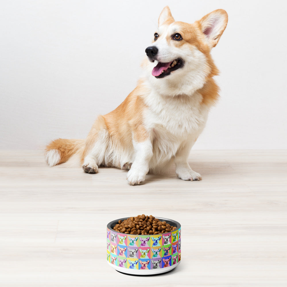 Cute French Bulldog - Pet bowl