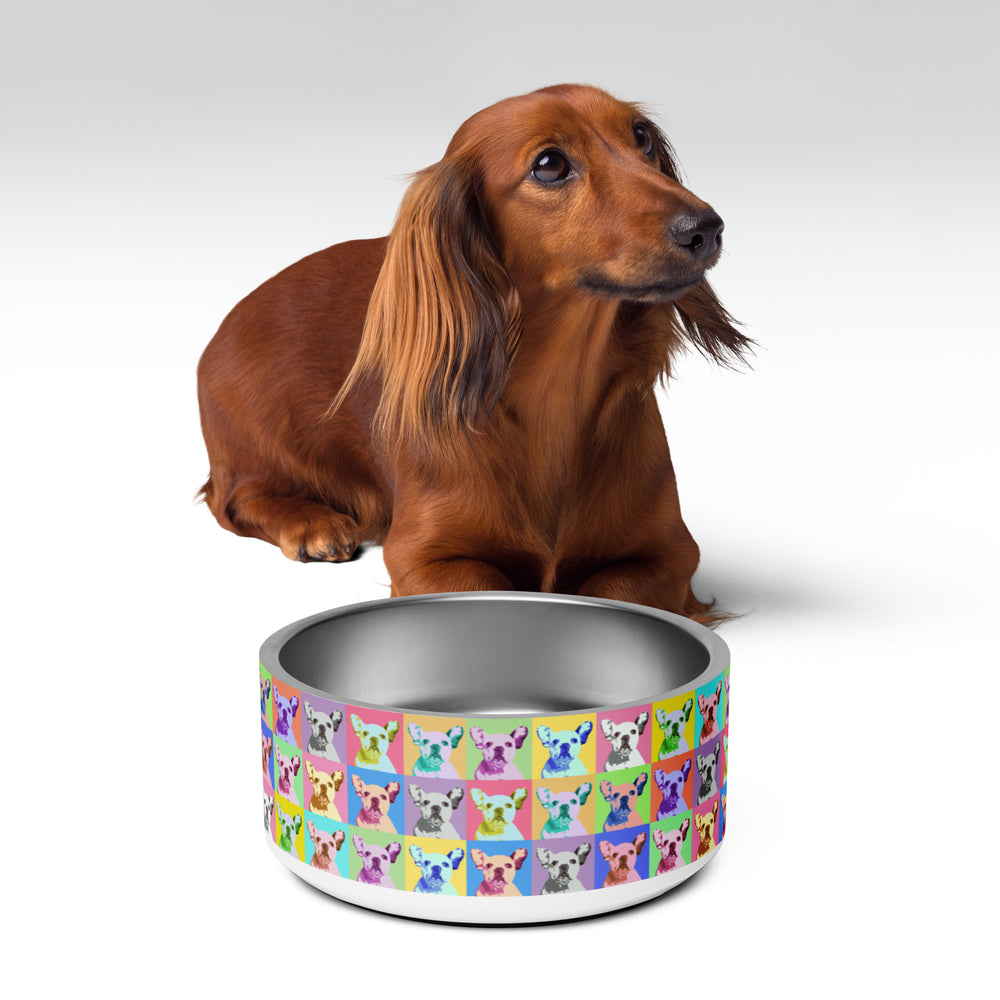 Cute French Bulldog - Pet bowl