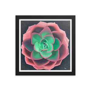 Succulent - Framed poster