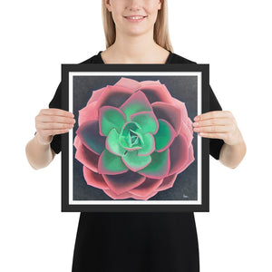 Succulent - Framed poster