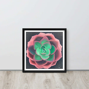 Succulent - Framed poster