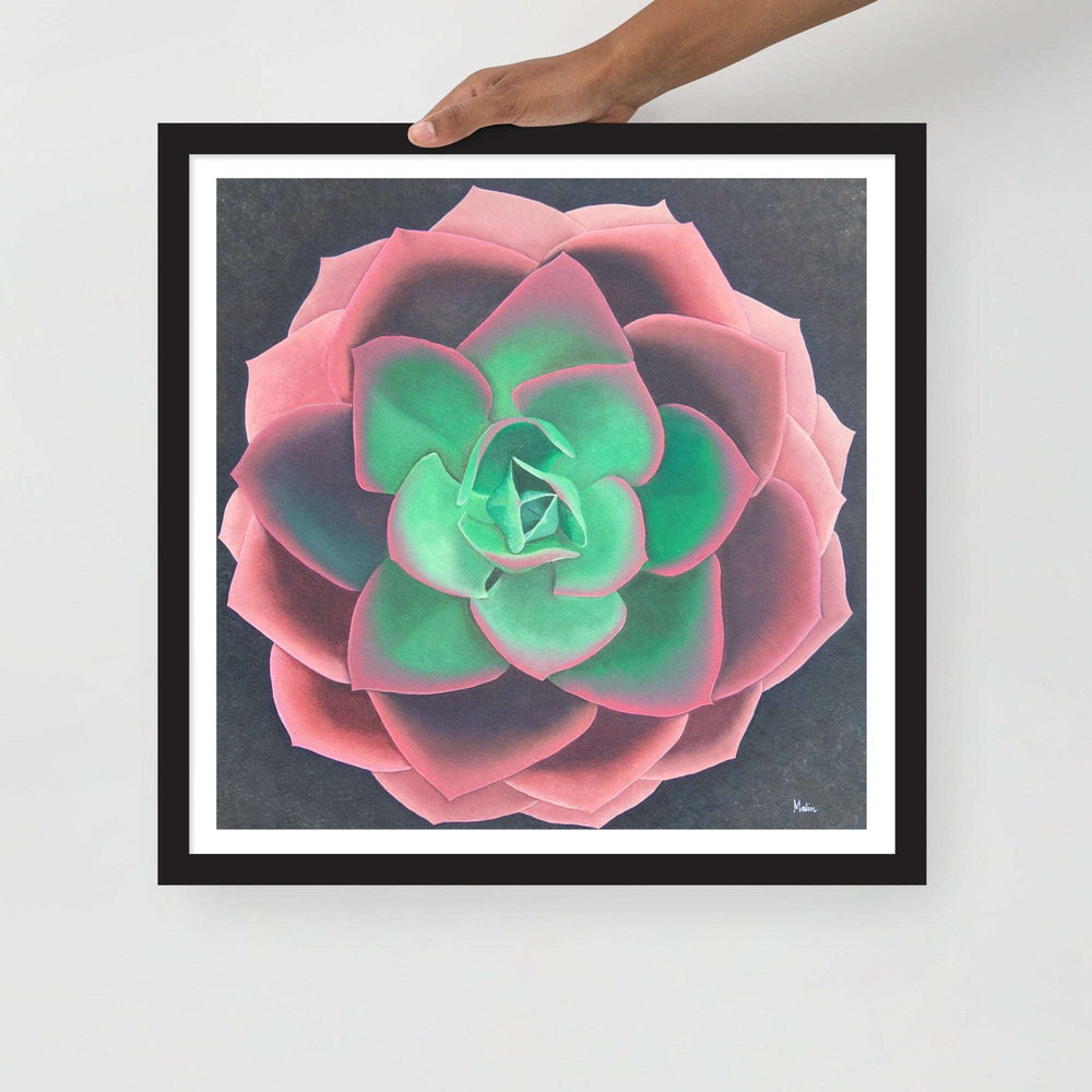 Succulent - Framed poster
