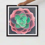 Succulent - Framed poster