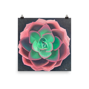Print - Succulent