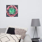 Print - Succulent