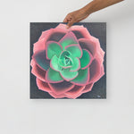 Print - Succulent